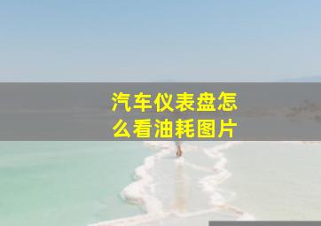 汽车仪表盘怎么看油耗图片