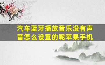 汽车蓝牙播放音乐没有声音怎么设置的呢苹果手机