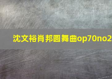 沈文裕肖邦圆舞曲op70no2