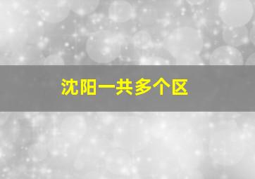 沈阳一共多个区