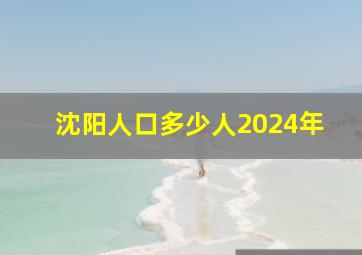 沈阳人口多少人2024年