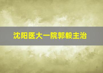 沈阳医大一院郭毅主治