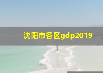 沈阳市各区gdp2019