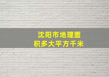 沈阳市地理面积多大平方千米