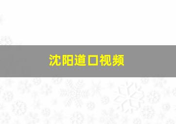 沈阳道口视频