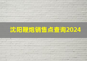 沈阳鞭炮销售点查询2024