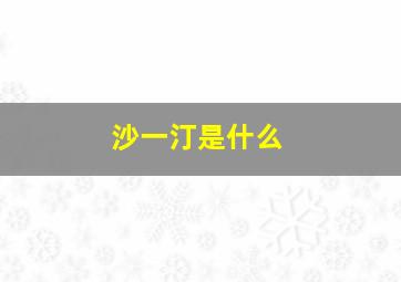 沙一汀是什么