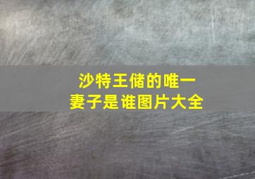 沙特王储的唯一妻子是谁图片大全