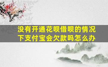 没有开通花呗借呗的情况下支付宝会欠款吗怎么办