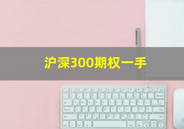 沪深300期权一手