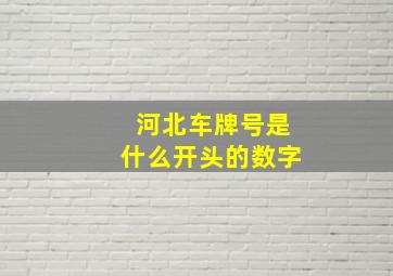 河北车牌号是什么开头的数字