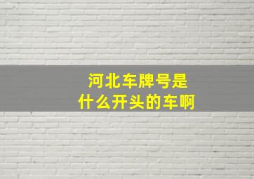 河北车牌号是什么开头的车啊