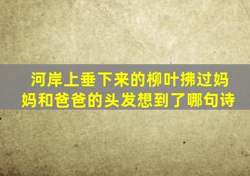 河岸上垂下来的柳叶拂过妈妈和爸爸的头发想到了哪句诗