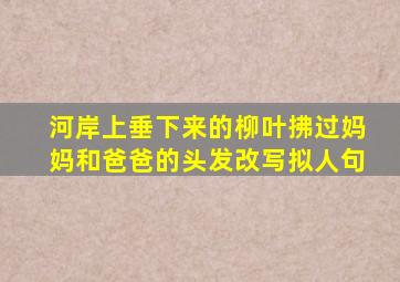 河岸上垂下来的柳叶拂过妈妈和爸爸的头发改写拟人句