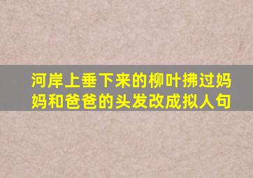 河岸上垂下来的柳叶拂过妈妈和爸爸的头发改成拟人句