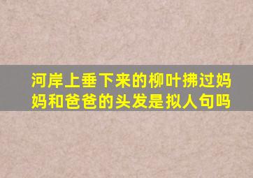 河岸上垂下来的柳叶拂过妈妈和爸爸的头发是拟人句吗