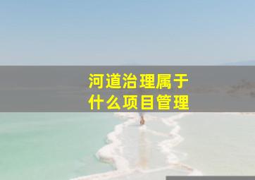 河道治理属于什么项目管理