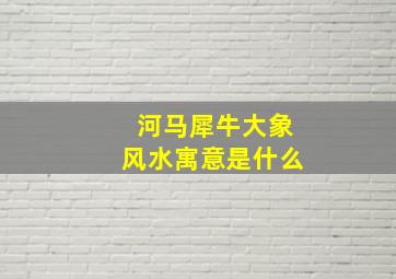 河马犀牛大象风水寓意是什么