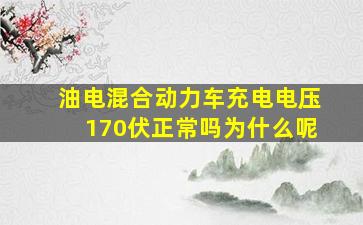 油电混合动力车充电电压170伏正常吗为什么呢