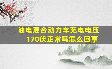 油电混合动力车充电电压170伏正常吗怎么回事