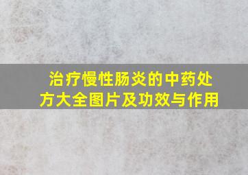 治疗慢性肠炎的中药处方大全图片及功效与作用