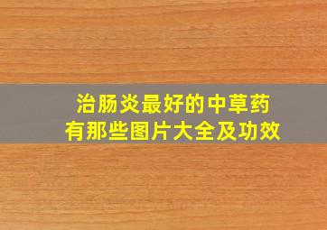 治肠炎最好的中草药有那些图片大全及功效