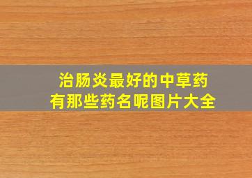 治肠炎最好的中草药有那些药名呢图片大全