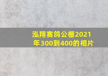 泓翔赛鸽公棚2021年300到400的相片