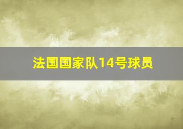 法国国家队14号球员