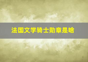 法国文学骑士勋章是啥