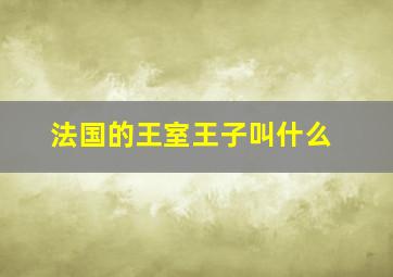 法国的王室王子叫什么