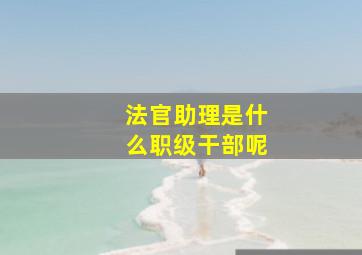 法官助理是什么职级干部呢