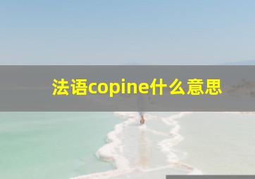 法语copine什么意思