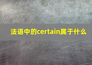 法语中的certain属于什么