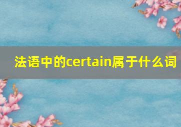 法语中的certain属于什么词