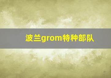 波兰grom特种部队