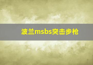 波兰msbs突击步枪