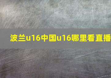 波兰u16中国u16哪里看直播