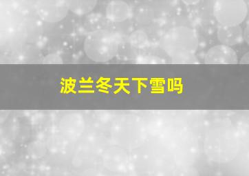 波兰冬天下雪吗