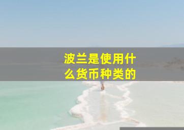 波兰是使用什么货币种类的