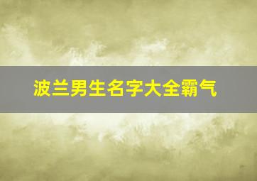 波兰男生名字大全霸气