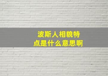 波斯人相貌特点是什么意思啊