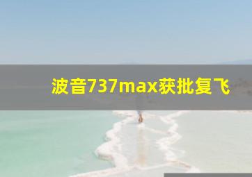 波音737max获批复飞