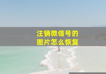 注销微信号的图片怎么恢复