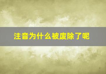 注音为什么被废除了呢