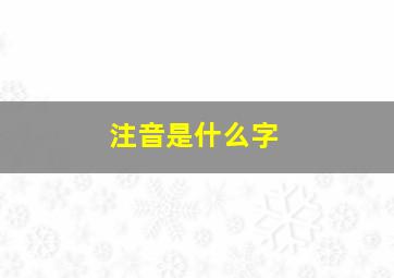 注音是什么字