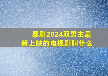 泰剧2024双男主最新上映的电视剧叫什么