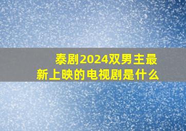 泰剧2024双男主最新上映的电视剧是什么