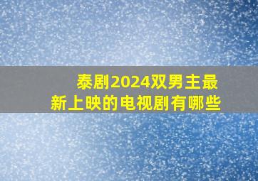 泰剧2024双男主最新上映的电视剧有哪些