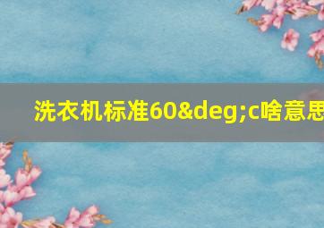 洗衣机标准60°c啥意思